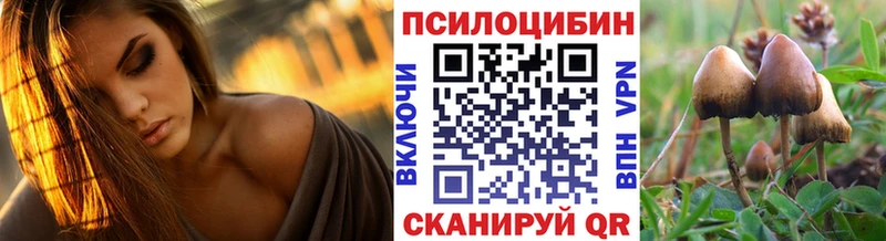 МЕГА ТОР  Красноперекопск  Галлюциногенные грибы Psilocybe  наркотики 